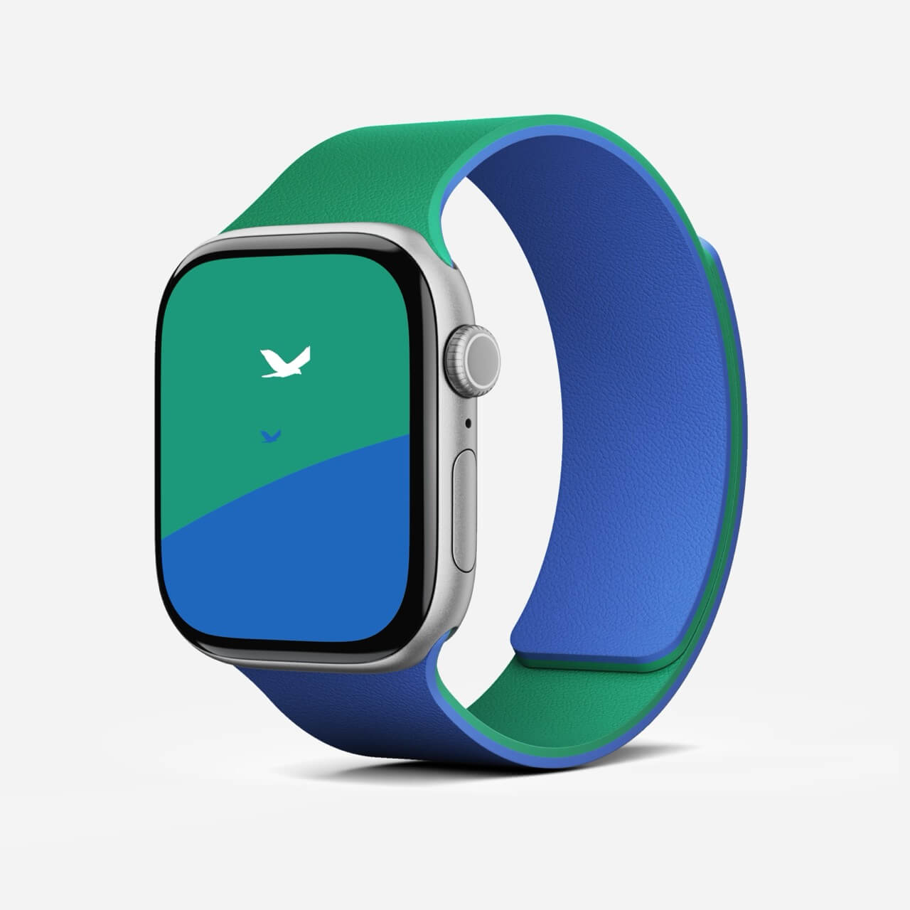 MOFT Snap Duo - paski do Apple Watch